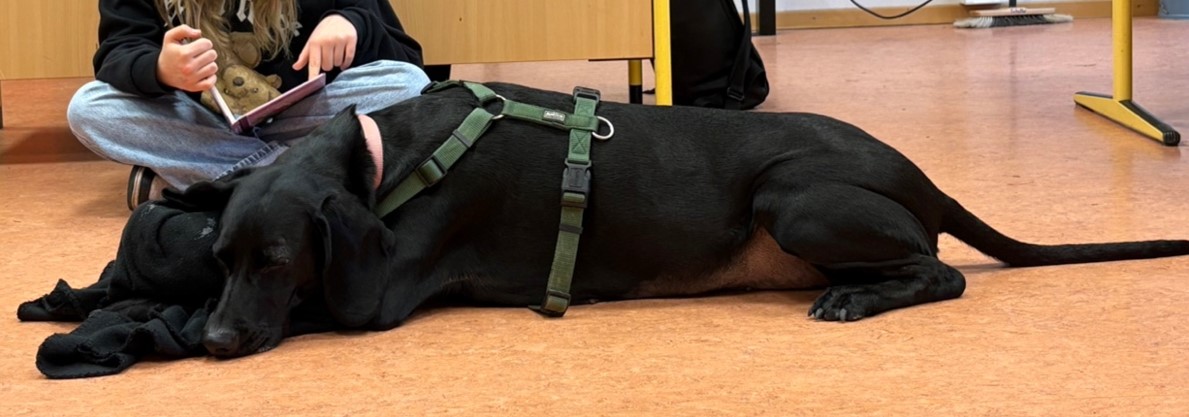 Nelli Einsatz